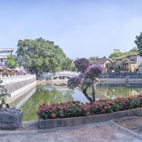 評論圖片 5