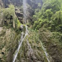 評論圖片 9