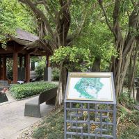 評論圖片 5