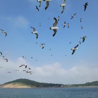 評論圖片 8