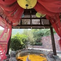 評論圖片 6