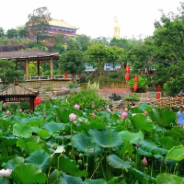 評論圖片 4
