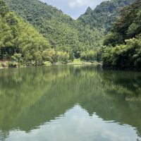 評論圖片 8