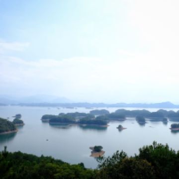 評論圖片 3
