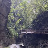 評論圖片 8
