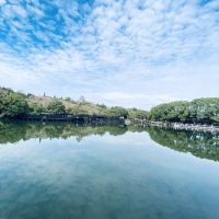 評論圖片 7