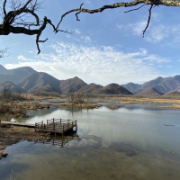 評論圖片 2