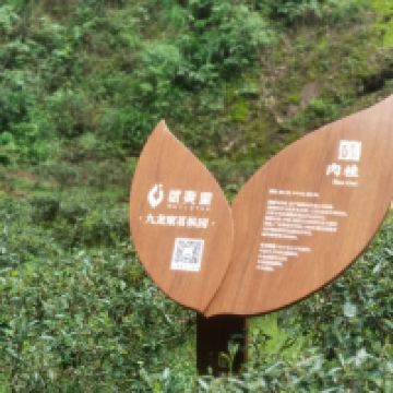 評論圖片 6