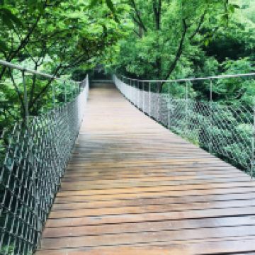 評論圖片 3