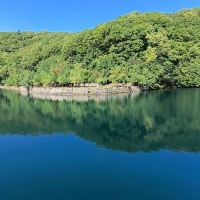 評論圖片 5