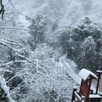 評論圖片 1