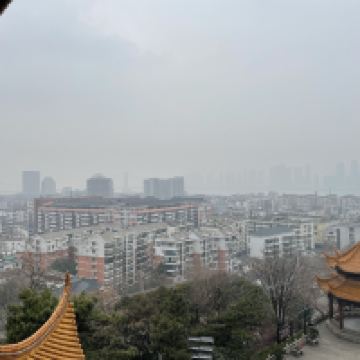 評論圖片 8
