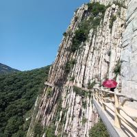 評論圖片 4