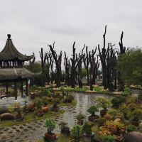 評論圖片 8