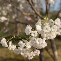 評論圖片 5