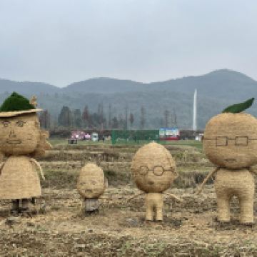 評論圖片 3