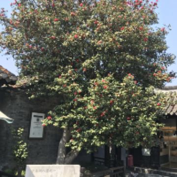 評論圖片 4