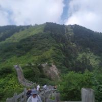 評論圖片 3