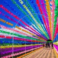 評論圖片 6
