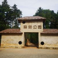 評論圖片 8