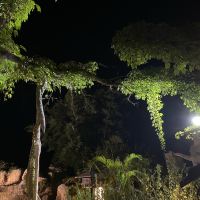 評論圖片 4