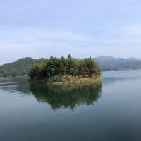 評論圖片 2