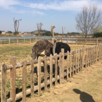 評論圖片 6
