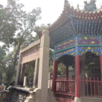 評論圖片 9