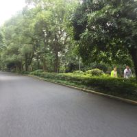 評論圖片 3