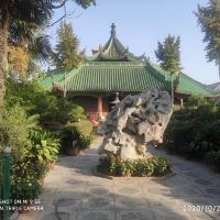 評論圖片 6