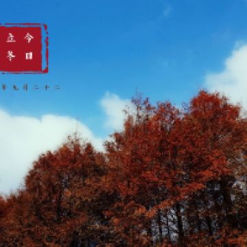 評論圖片 1