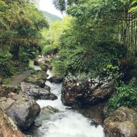 評論圖片 5