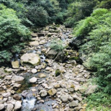 評論圖片 3