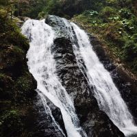 評論圖片 1