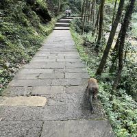 評論圖片 7