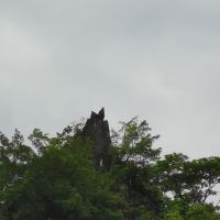 評論圖片 2