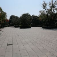 評論圖片 2