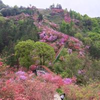 評論圖片 1