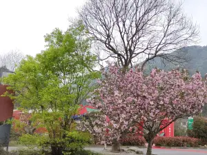 Tiantangzhai National Forest Park