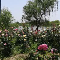 評論圖片 9