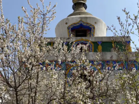 Kumbum Monastery