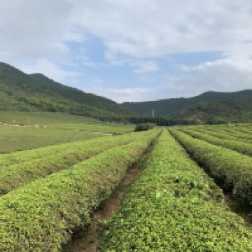 評論圖片 2