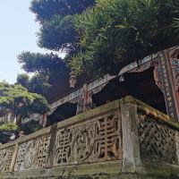 評論圖片 4