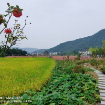 評論圖片 1