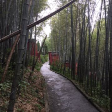 評論圖片 4
