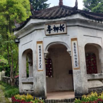 評論圖片 2