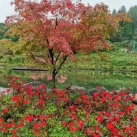 評論圖片 1
