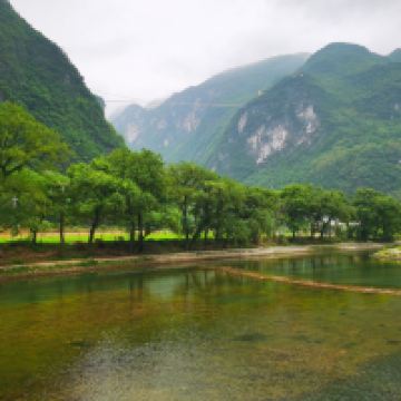 評論圖片 5