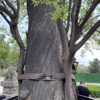 評論圖片 8