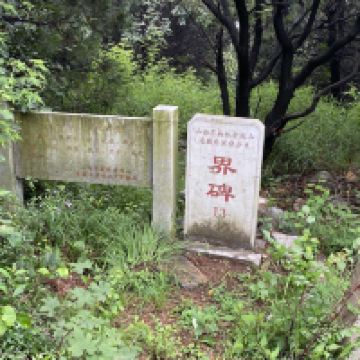 評論圖片 5